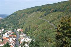Internetseite Landkreis - Naturschutz - Weinberge Klingenberg