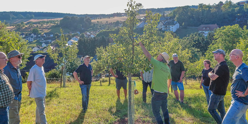 Teilnehmende lassen sich an einem Streuobstbaum etwas erklären