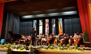 Orchester der Churfränkischen Philharmonie