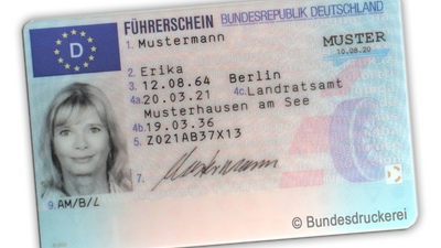 Führerschein Muster