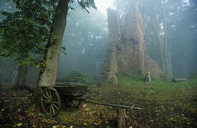 Die Ruine Wildenstein im düsteren Nebel