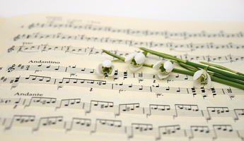 Musiknoten