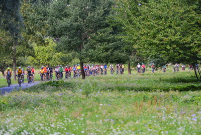 Fahrradkolonne im Grünen