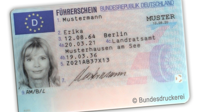 Führerschein Muster