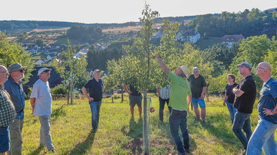Teilnehmende lassen sich an einem Streuobstbaum etwas erklären