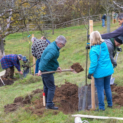 Gäste an Pflanzlöchern