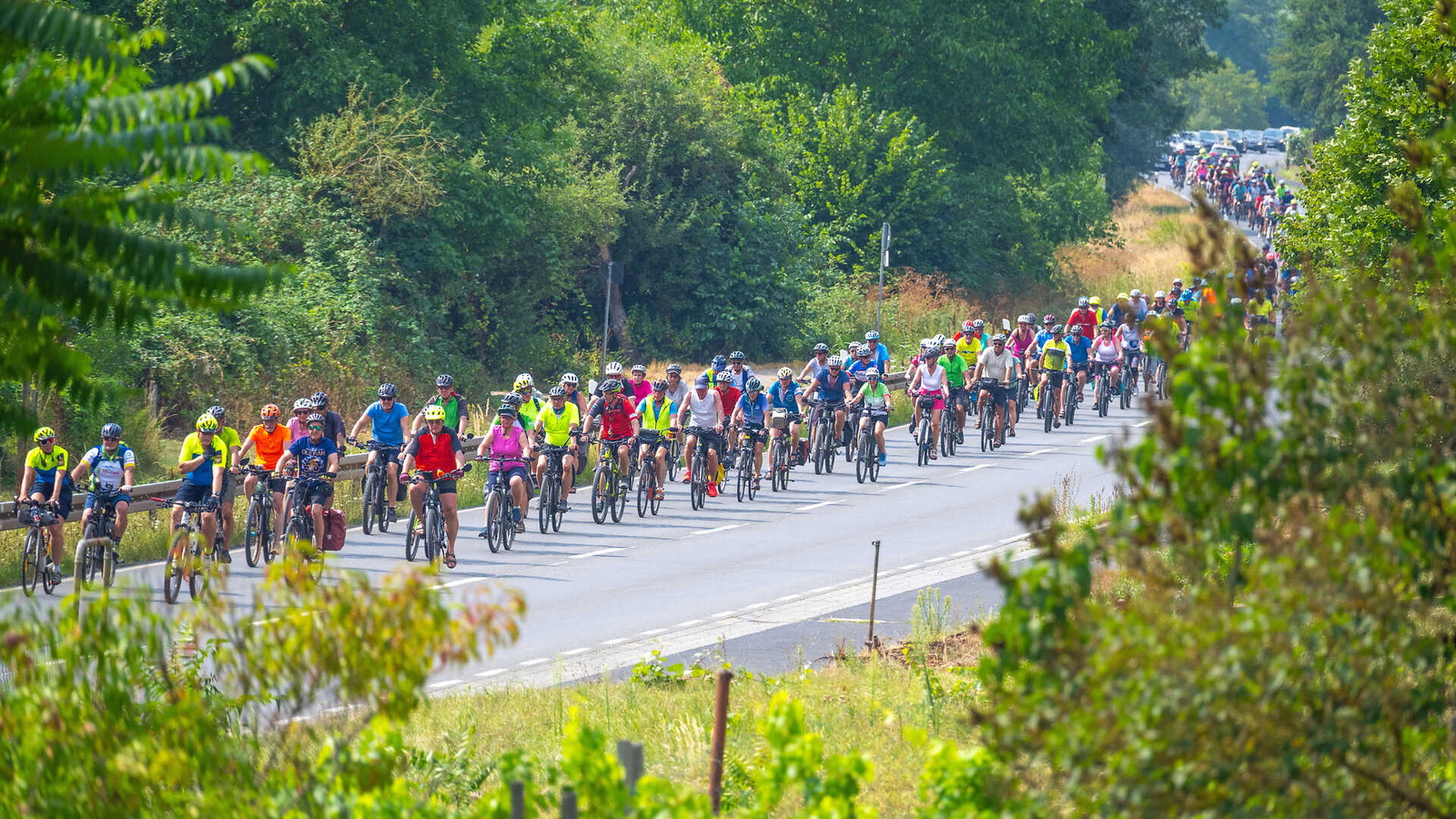 Große Gruppe Radfahrer auf Straße