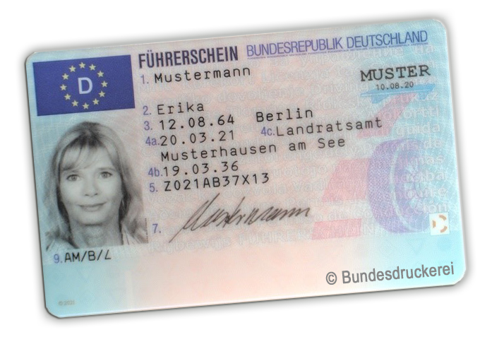 Führerschein Muster